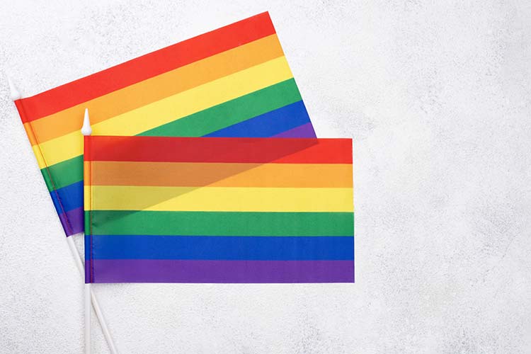 Diverse-Pride-Flags